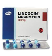 tetracylin drug